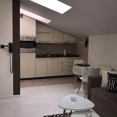 Apartment Savic 2