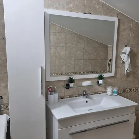Apartment Savic 2 *