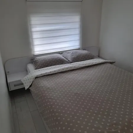 Savic 2 ビイェリナ