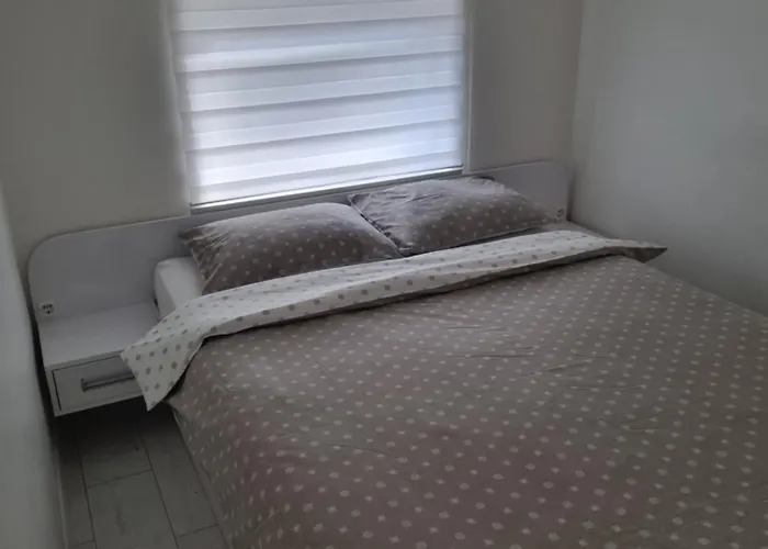 Savic 2 Μπιέλινα