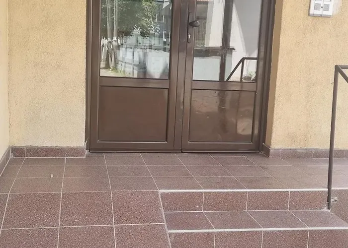 Savic 2 Μπιέλινα