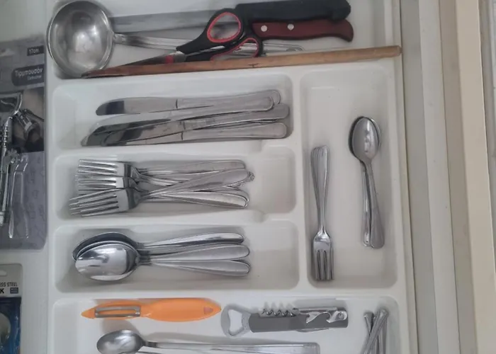 Savic 2 * Μπιέλινα